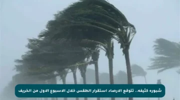 شبورة كثيفة.. تتوقع الأرصاد استقرار الطقس خلال الأسبوع الأول من الخريف